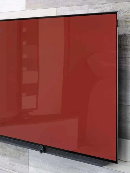 Flat Screen TV Protector