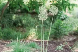 10 low tech activities to do with your kids this summer