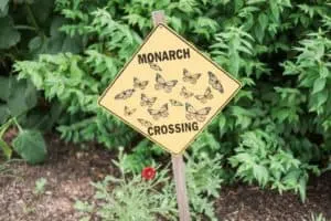 10 low tech activities to do with your kids this summer