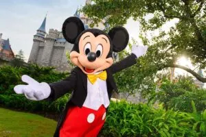 Using DAS Disney World Mickey Mouse